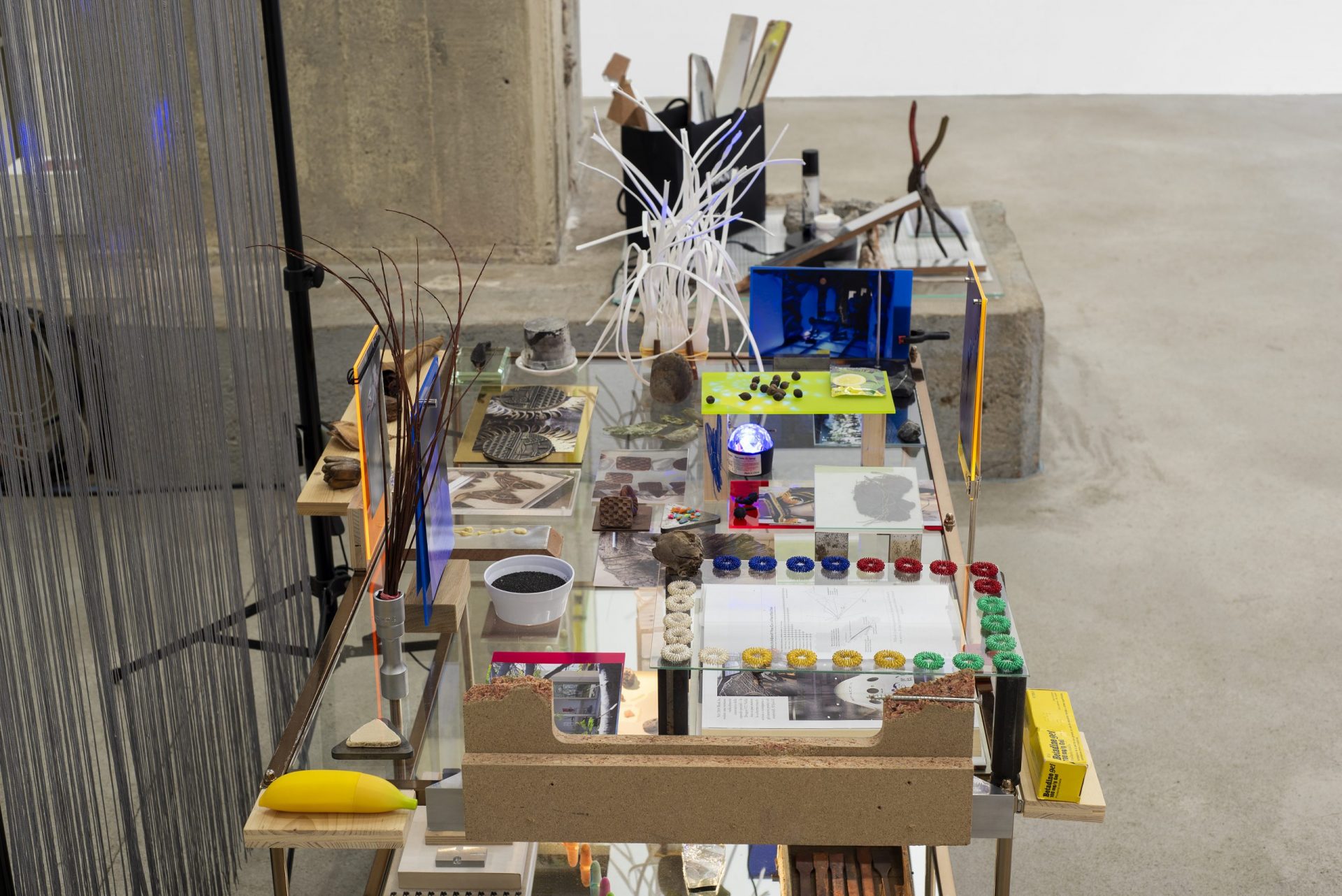 13.DSC_8798.1.scharf