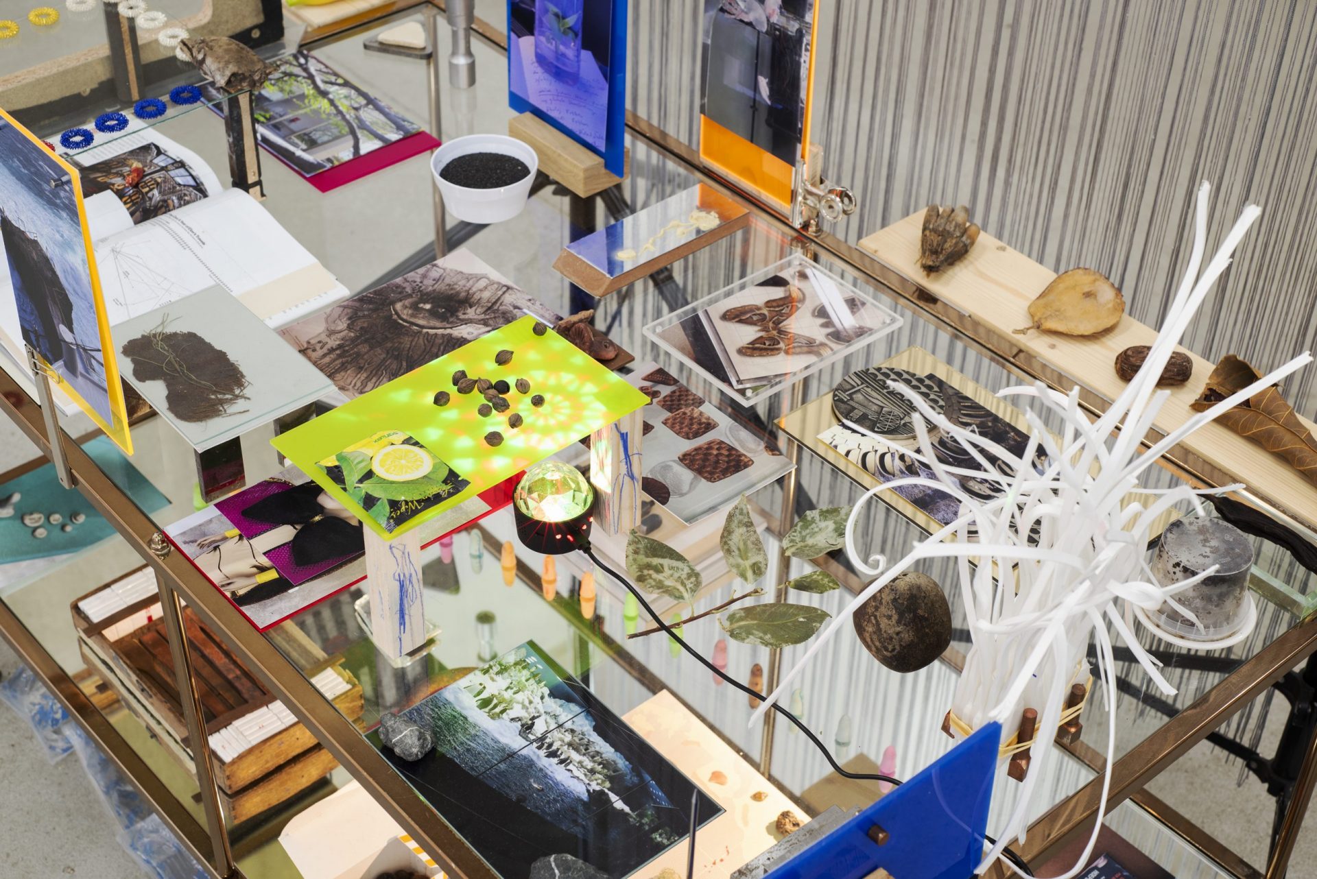 14.DSC_8785.1.scharf