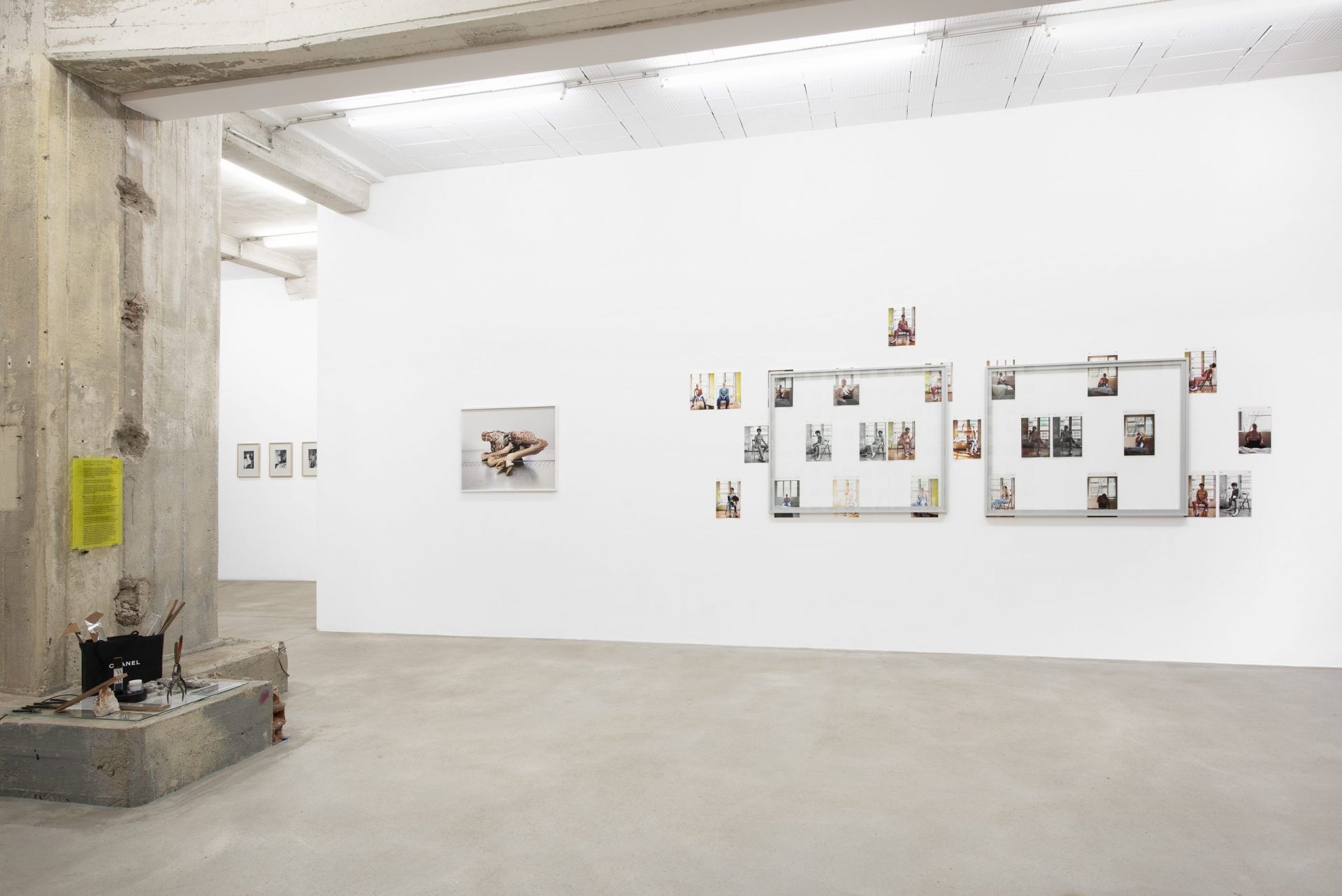 15.DSC_8912.1.scharf